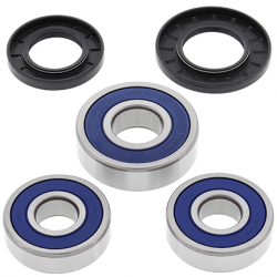 All Balls, sada ložisek a gufer zadního kola, Honda CBR 1000F '90-'96, CBR 1100XX '97-'06, VF 750F`83-84